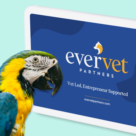 a parrot in front of the EverVet website on tablet