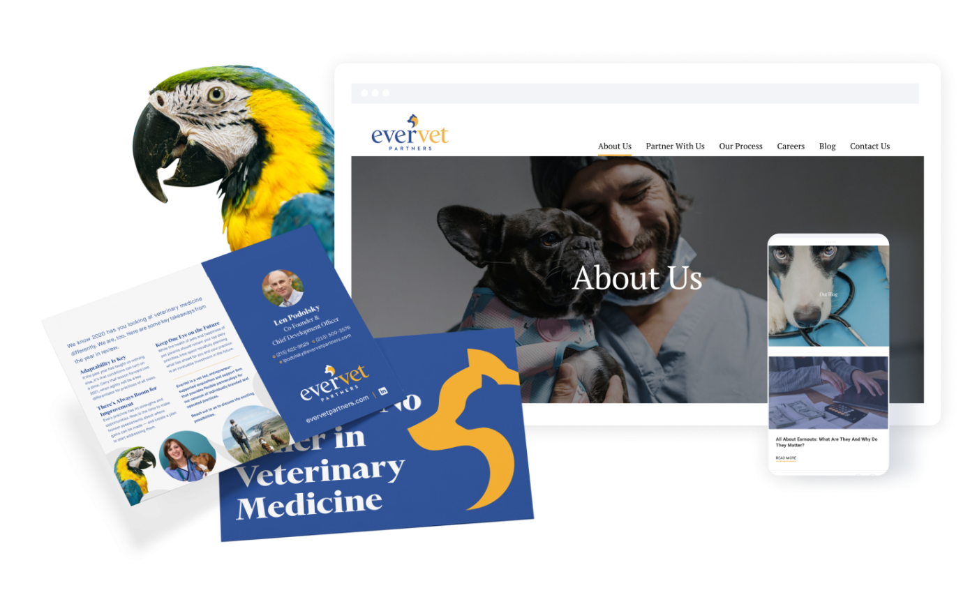 EverVet website on desktop and mobile with a parrot's head