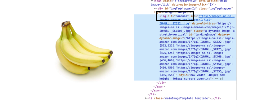 example of a photo of a bunch of bananas on the left and screenshot of website code highlighting that the image's alt text says bananas