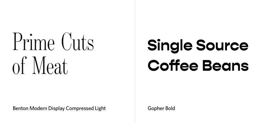 examples of Benton Modern Display Compressed Light font with thin serif text and Gopher Bold font with thick, sans-serif text