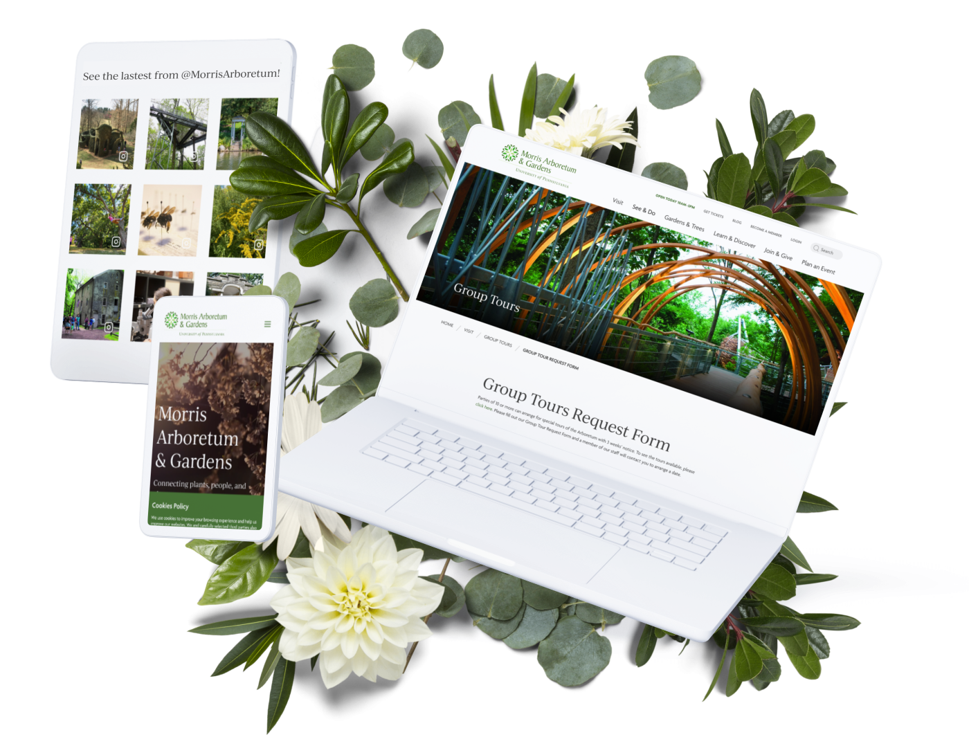 the Morris Arboretum & Gardens website on tablet, mobile, and desktop with white flowers and leaves behind it