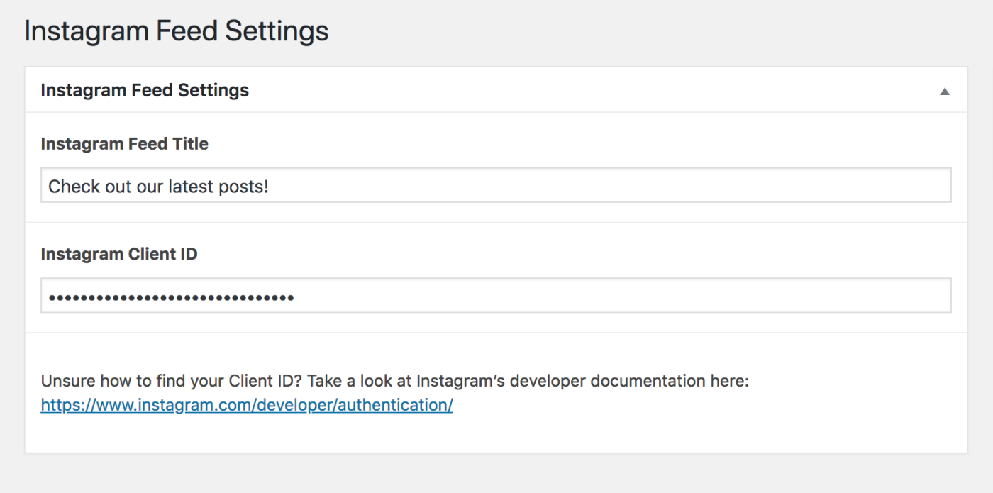 Instagram Feed Settings with title and client ID