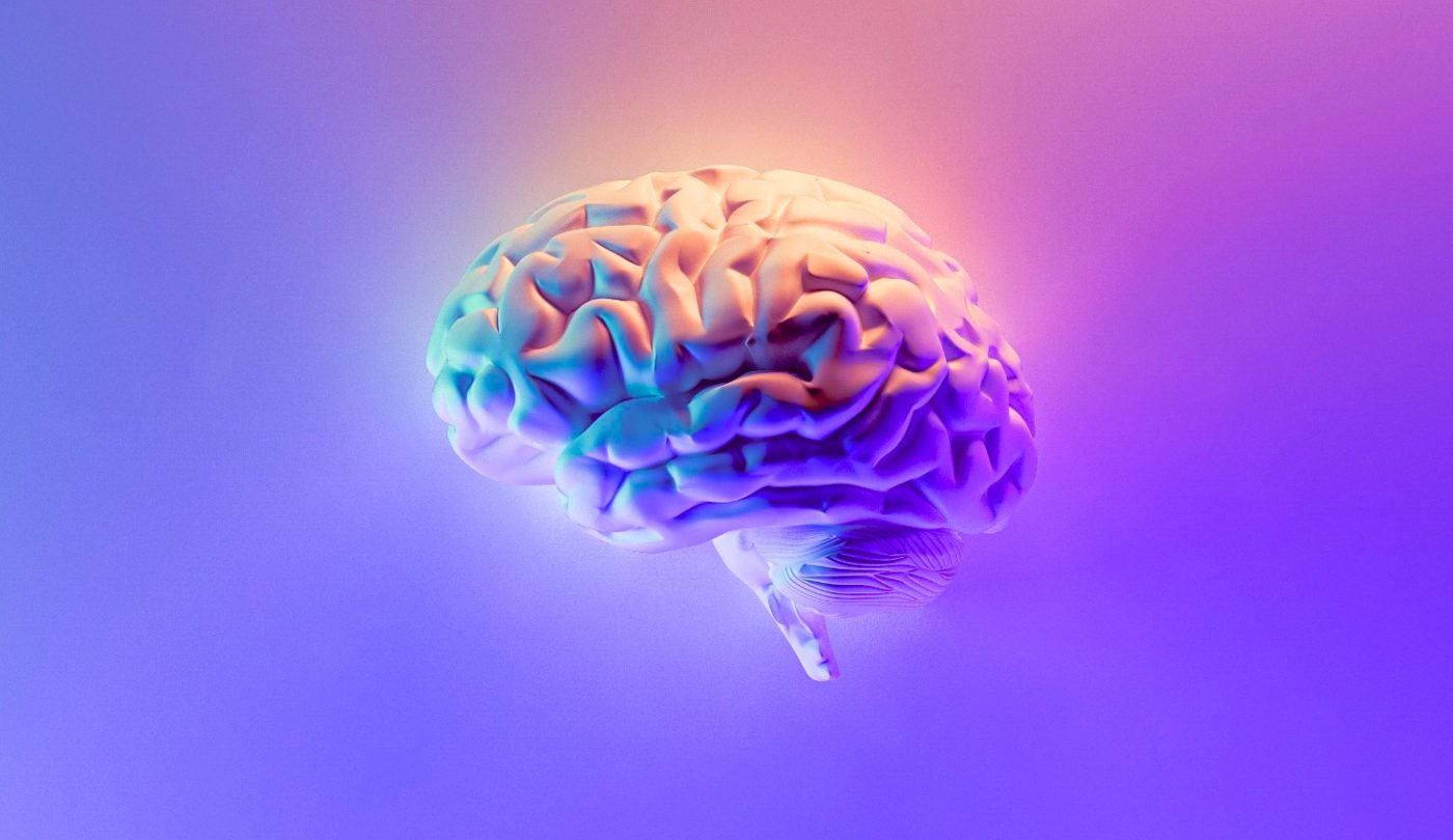 A stylized 3d rendering of the human brain with heavy shadows over its sulci and gyri in a gradient of neon purple, blue, pink, and orange
