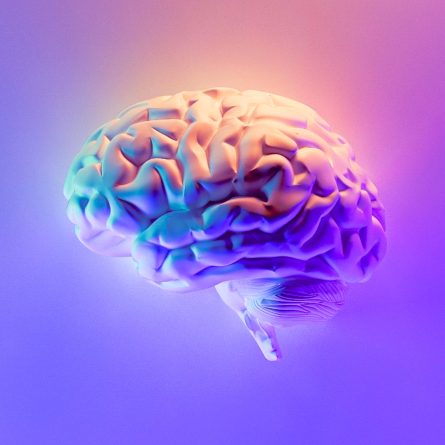 3D rendered image of a floating brain against a mesmerizing blend of chromatic purple, pink, and orange hues in the background.