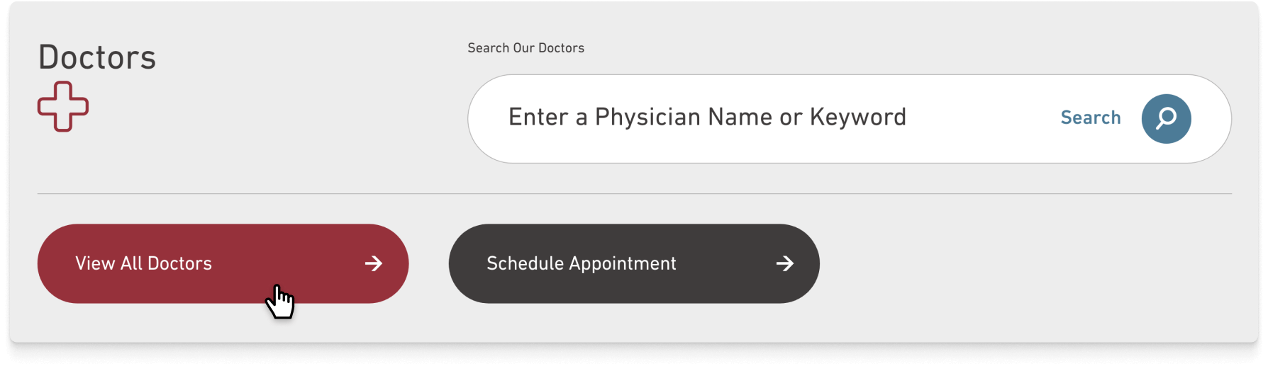 A website search bar with input for entering a physician’s name or keyword, alongside buttons for viewing all doctors and scheduling an appointment.