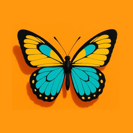 Colorful butterfly illustration on an orange background, symbolizing transformation and best design practices across healthcare websites.