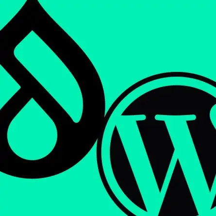 Drupal droplet icon and WordPress W icon