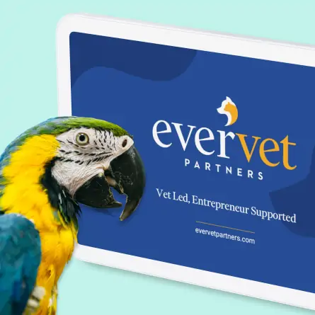 a parrot in front of the EverVet website on tablet
