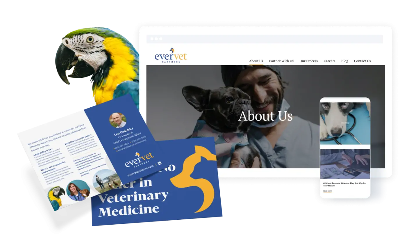 EverVet website on desktop and mobile with a parrot's head