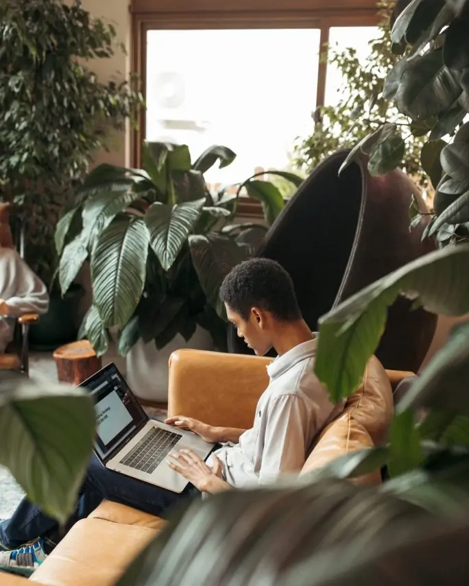 a young man working on a laptop on a couch surrounded by large, tropical plants