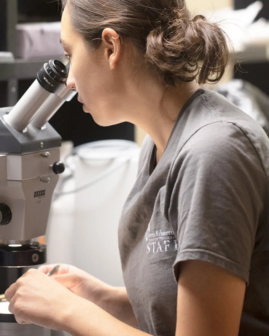 An image of a Morris Arboretum and Gardens employee wearing a staff shirt and examining a plant specimen under the microphone.