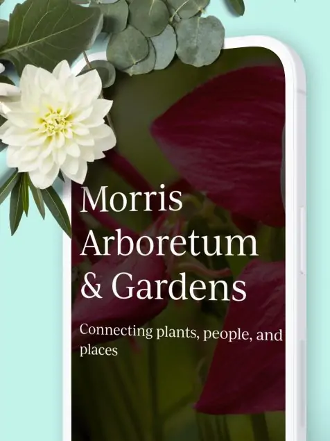 An enchanting flower arrangement positioned in the top left corner of the image, gracefully blending with the front of a mobile screen. The mobile screen displays the homepage of the Morris Arboretum website, showcasing colorful and vibrant botanical imagery.