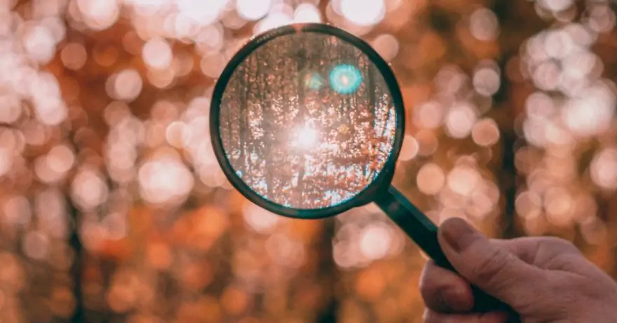 a hand holding a magnifying glass in front of a blurry autumn forest and the glass shows a clear close up of leaves