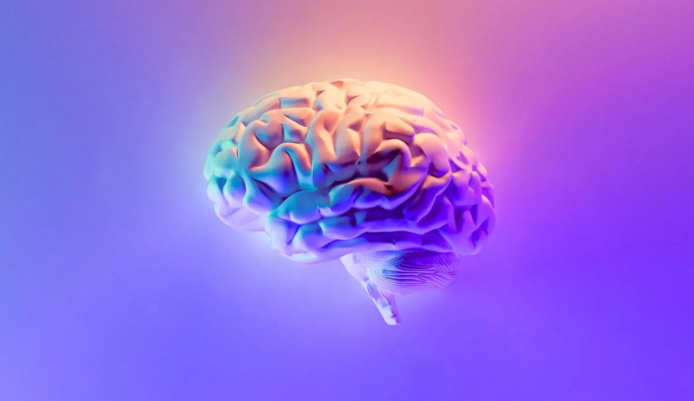 A stylized 3d rendering of the human brain with heavy shadows over its sulci and gyri in a gradient of neon purple, blue, pink, and orange