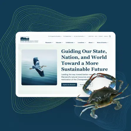 University of Maryland Center for Environmental Science homepage with a heron in flight, accented by a blue crab.